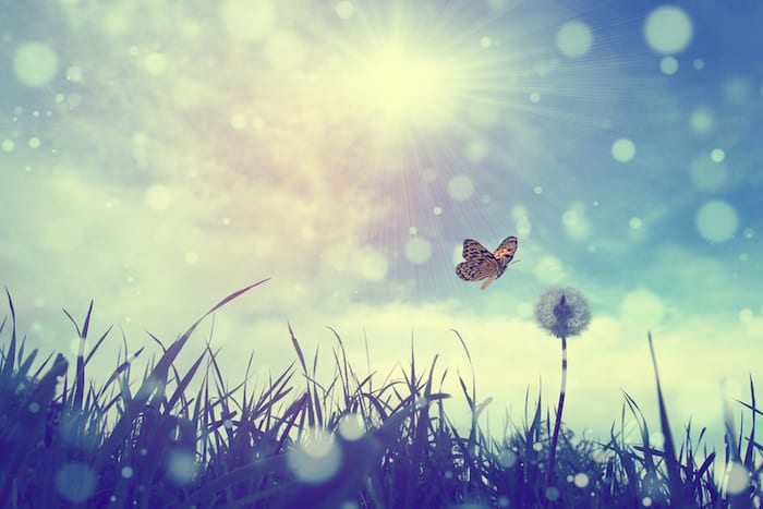 spiritual-dreaming-shamanic-movements