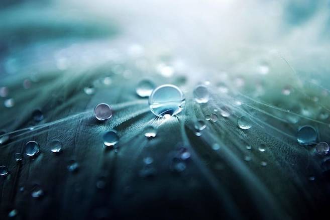 shamanism-spiritual-communion