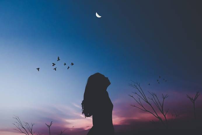 dreaming-awake-toltec